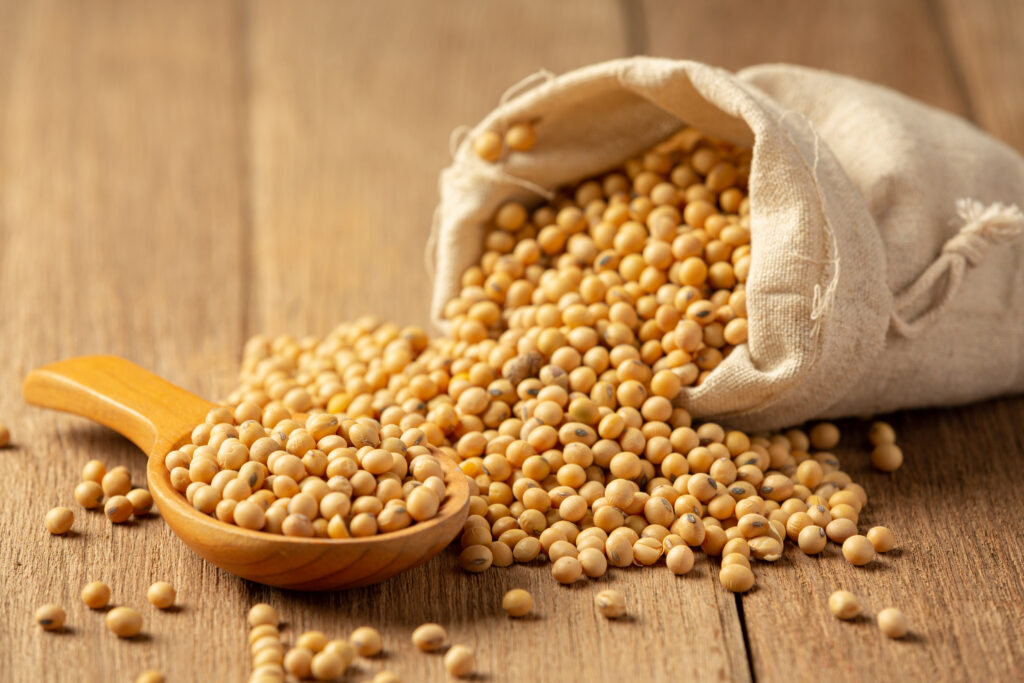 soya beans image